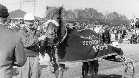 Vuoden 1964 suurmestari Topi ja Reino Hinkkanen.