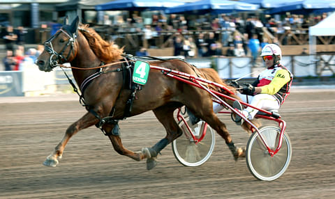 Ravuri Vale-Elli rattaillaan ohjastaja Henri Bollström.