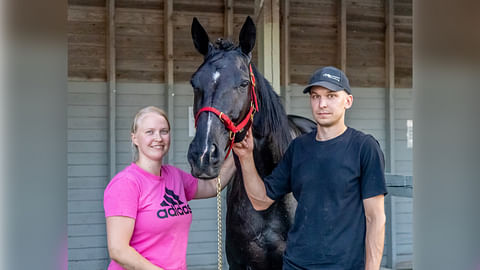 Kati Särkelä ja Kalle Peura satsasivat tarkoituksella hyvään kilpahevoseen. Nyt heillä on sellainen.