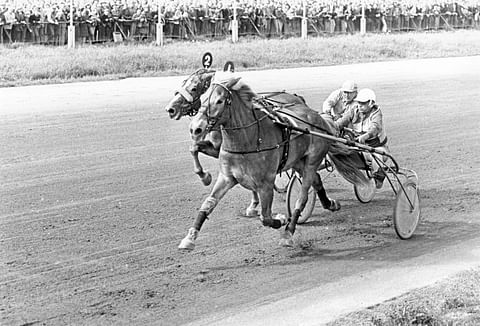 Olle piti Vieterin takanaan myös vuoden 1977 Suurmestaruudessa.