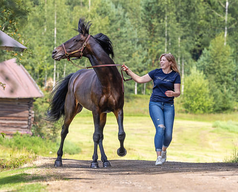 Maiju Petriläistä naurattaa, kun vanhalla herralla riittää edelleen varsin paljon virtaa. Le Cannibale on 18 vuoden ikään nähden edelleen hienossa kunnossa.