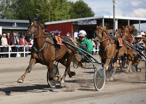 Ravihevonen Ypäjä Eila rattaillaan Ilkka Korpi Porissa keväällä 2014.