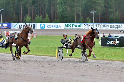 Henri Bollströmin ohjastama ravihevonen Caru