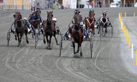 Ravihevonen Alma Cotter voittaa 20.7. Joensuussa.