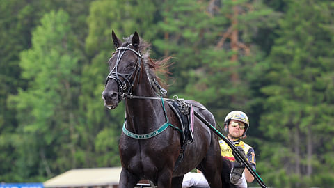 Castor The Star ja Mats E Djuse Mikkelissä, jossa tuli kakkossija.