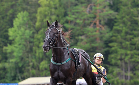 Castor The Star ja Mats E Djuse Mikkelissä.