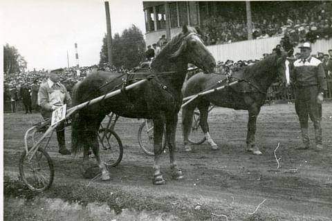 Vuoden 1951 hallitsijapari; Akapeetus ja Jukka Perttula ja Vilkku Risto Kähärän kanssa.