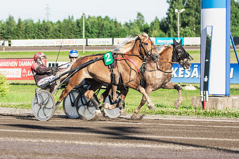 Ravuri Armas Suomalainen ohjastajansa Tapio Perttusen kanssa.