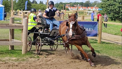 Eveliina Koivula ja Judym EM-maratonilla. Groomina Vilma Ylitalo.