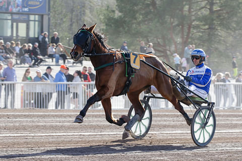 Ravihevonen Dodii rattaillaan Esa Holopainen