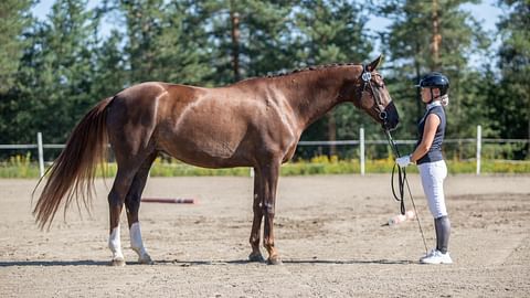 Firecape Valse de Rose Kajaanissa.