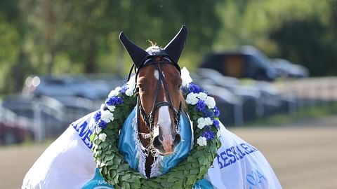 Jani Ruotsalainen on Paavolan Hurmoksen valmentaja.