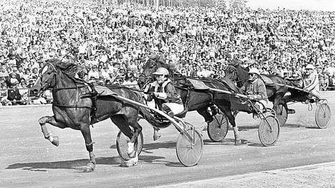 Viluma juoksi ravikuningattareksi Aila Wäggin ohjastamana Lappeenrannan Kuninkuusraveissa vuonna 1977.