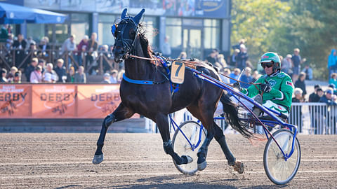 Tero Pohjolaisen valmentama Sands Hybrid venyi loistavasti Derbyssä.