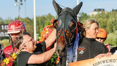 Lightning Stride vei Derbyn, Sands Hybrid oli toinen ja Relevant Stride kolmas, kaikki tammoja.