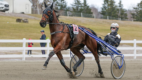 Tuukka Varis on ohjastanut usein EL Kickoffia.