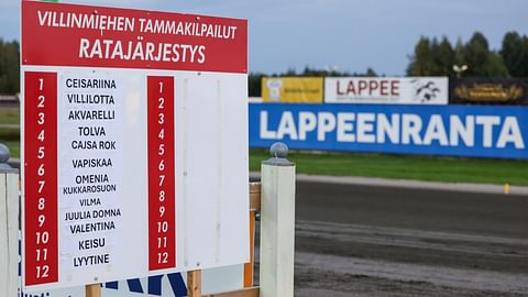 Villinmiehen Tammakilvan suomenhevosfinalistit ovat selvillä.