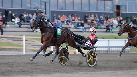 Derby-voittaja Lightning Stride eteni loppuvedollaan hallittuun karsintavoittoon.