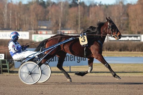 Ravihevonen Magical Queen ja Pekka Korpi