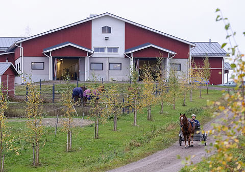 Kiuruvesi ja muut hevosalan koulut ovat nyt uuden edessä toisen asteen koulutuksen leikkauksien takia.