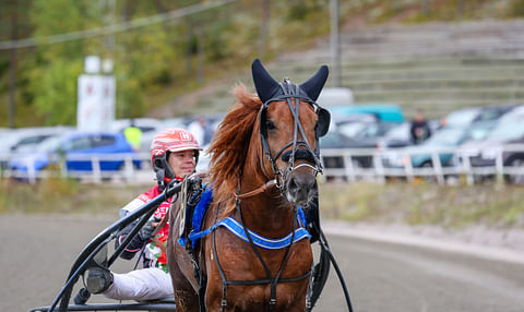 Ravihevonen Alarik Huikea rattaillaan Santtu Raitala.