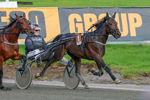 Ravihevonen Midas Match rattaillaan Joni-Petteri Irri 