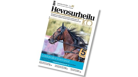 Hevosurheilu on ilmestynyt – mukana loistokas Lightning Stride, Laakkosten kolme Trav-Oaks-finalistia ja Pekka Korven varsoja opettava Jarkko Ristimäki