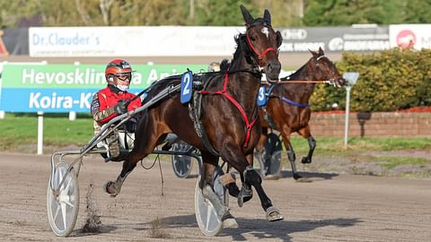 Ravihevonen Zola Beat rattaillaan Tuomas Pakkanen