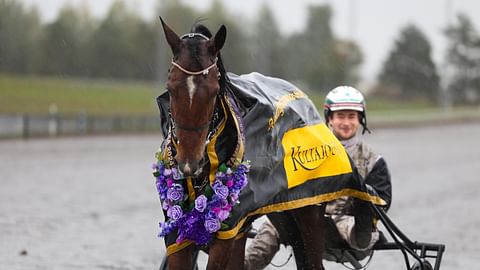 Ravihevonen Velvet Gold rattaillaan Iikka Nurmonen