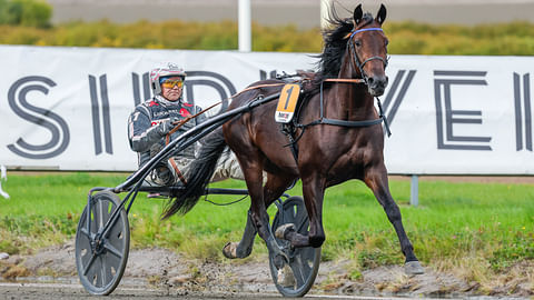 Valmentaja Antti Teivainen harmittelee Lil Runnerin sairastumista.