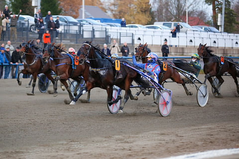 Kymenlaakso-ajon sankari Knight Rider Hoss piti Olli Koivusen ajamana 11,5-lopetuksessa oikein varmasti pintansa.