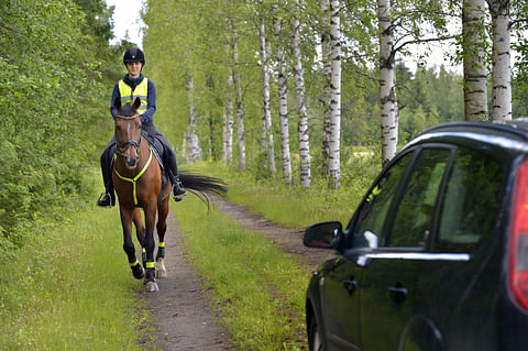 Hevoseen liikenteessä tulee suhtautua vähän samoin kuin lapseen: se voi toimia yllättävästi.  