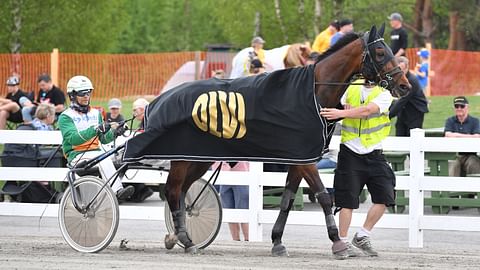 Ravihevonen Gatlin Zet rattaillaan Ville Pohjola