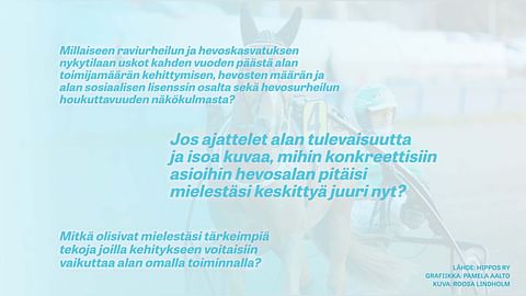 Esimerkkikysymyksiä Suomen Hippos strategiakysely