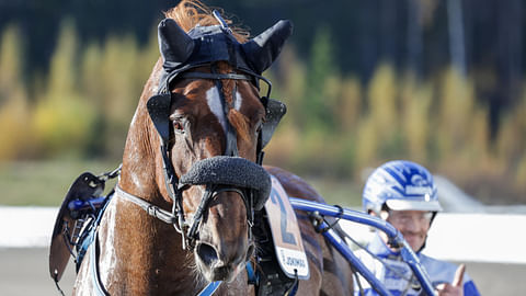 Ville Korjus sai peukuttaa Jokimaan Toto75-startin jälkeen Pyrkimyksen suoritukselle.