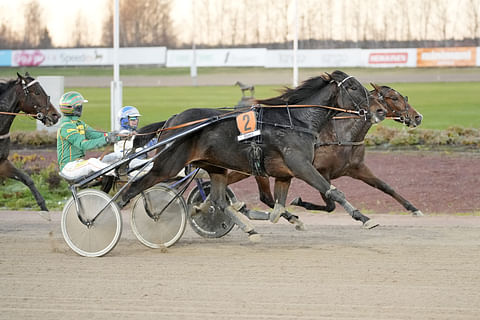 Jukka Torvisen ohjastama Fabiana Hoist on matkalla huipputammojen joukkoon.