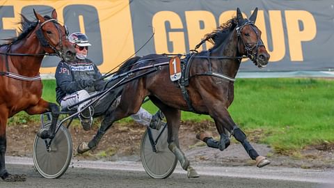 Ravihevonen Midas Match rattaillaan Joni-Petteri Irri.