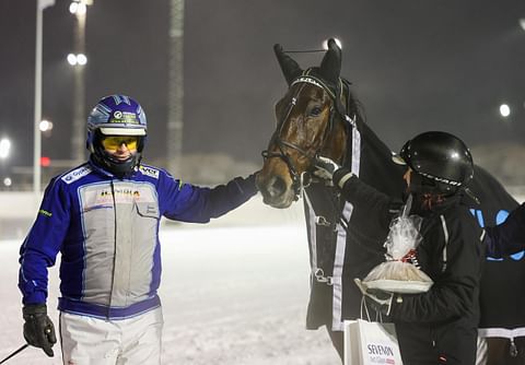 Amazing Player on palannut ryminällä takaisin voittajakehään.