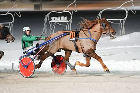 Rallan Ruhtinas toi Kari Lehtosen talliin illan neljännen tolpan.