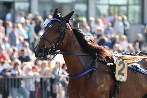 Anna Mix kilpaili Finlandia-Ajossa vuonna 2016.