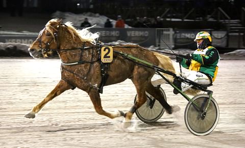 Teemu Okkolinin luotsaamalla Helkan Urholla on kahden kilpailun viikko.