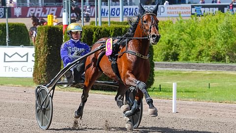 San Moteur juoksee sunnuntaina Vincennesissä uusilla kärryillä. Ne ovat varuste, jolla yritetään lyödä ranskalaiset.