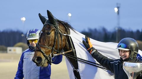 Amazing Player sulattaa muidenkin kuin pelkästään Irina Sarinin ja Jarmo Saarelan sydämet. Talvimaljassa ruuna rullasi korvat kiinni ykköseksi ja sen jälkeen seremonipaikalle.