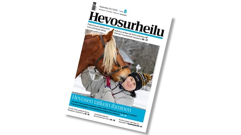 Hevosurheilu on ilmestynyt – uusi sarja elämän muuttaneista hevosista alkaa