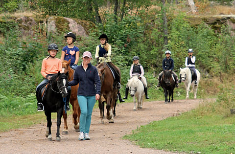 Uusimaalaisia hevosihmisiä kehotetaan pysymään lähiviikot Uudellamaalla