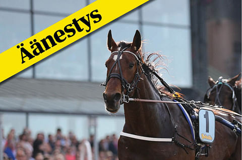 Mitkä hevoset sykähdyttivät eniten huhtikuussa? Äänestä Kuukauden ravureita!