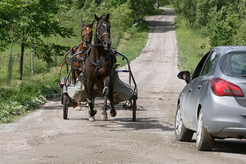 Hevosen kanssa liikenteeseen – Muista nämä perusasiat
