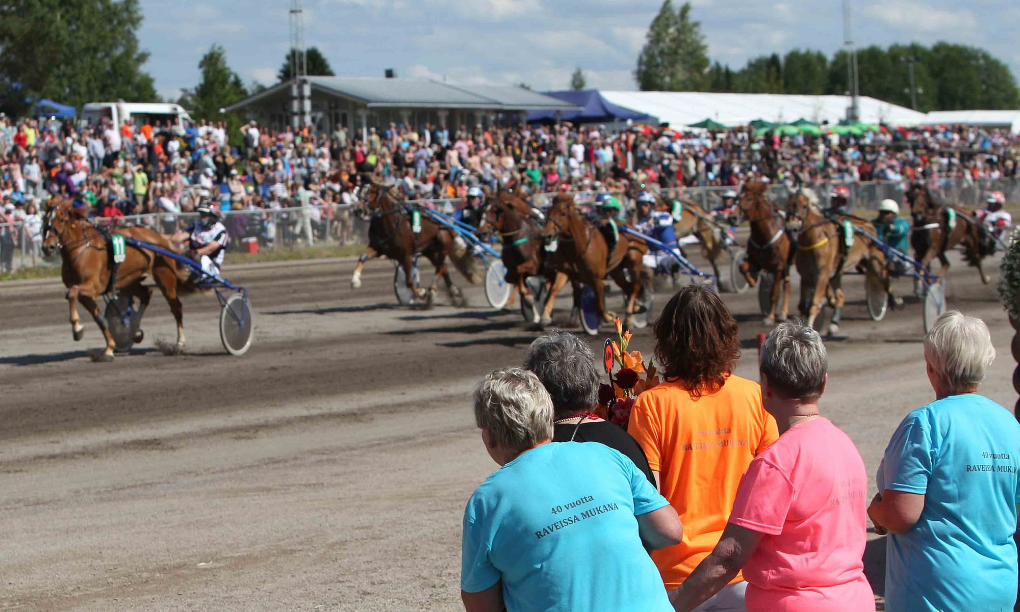 Suomen Hevosenomistajien Keskusliitto haluaa, että sitoutuneet hevosenomistajat ja -kasvattajat huomioitaisiin nykyistä paremmin. 