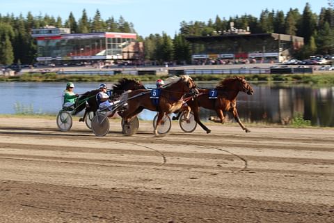 Hevoset eivät kierrä Jyväskylän raviradan keskellä olevaa Killervä järveä sunnuntaina.