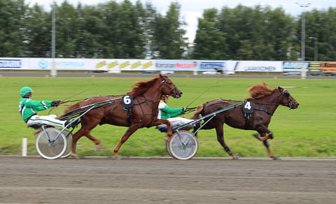 Kukan Tutu voitti, numerolla kuusi startannut Lissun Eerikki oli kolmas.